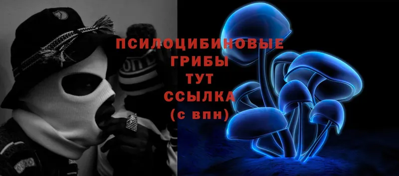 Псилоцибиновые грибы Psilocybine cubensis  купить  цена  darknet состав  Зубцов 